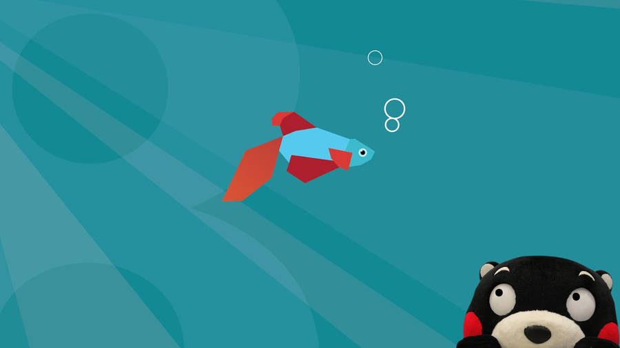 Curious Kumamon With Fish Wallpaper
