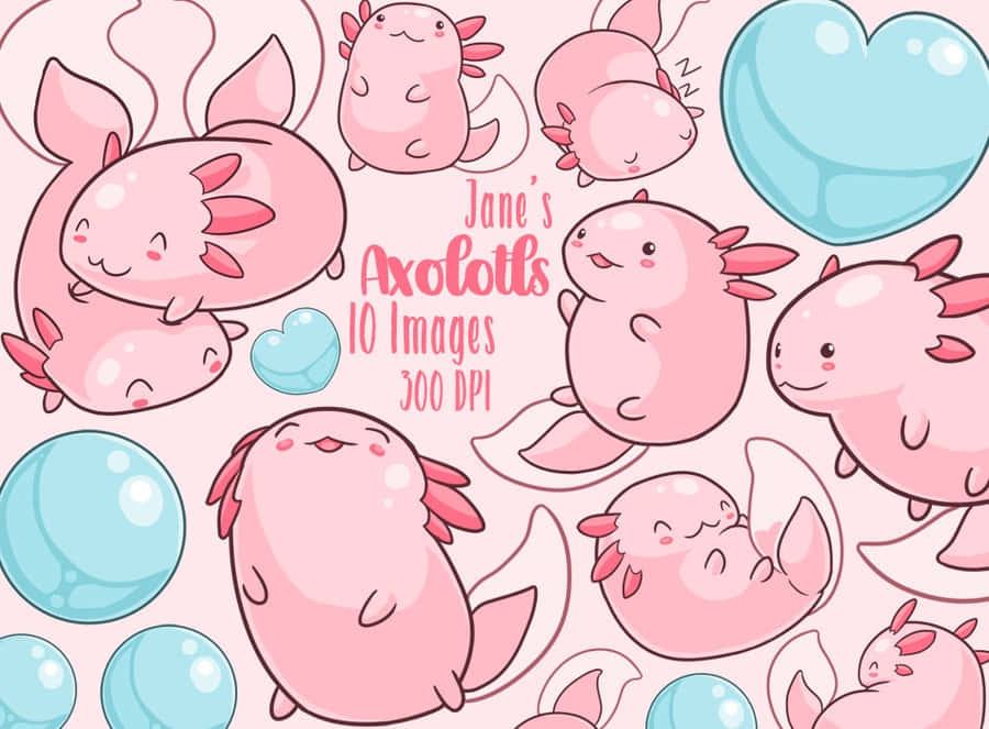 Cute Axolotl Animals Doodle Art Wallpaper