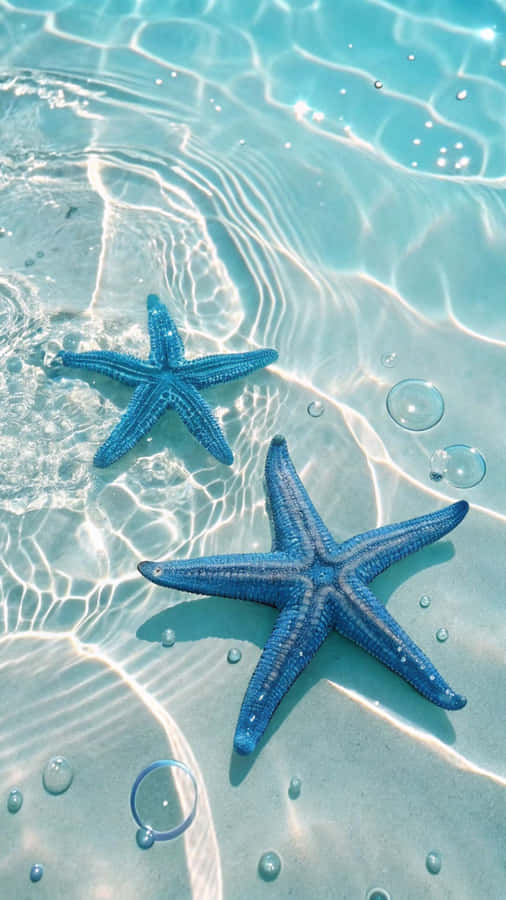 Cute Blue Starfish Ocean Wallpaper
