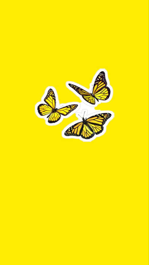 Cute Bright Yellow Butterflies Wallpaper