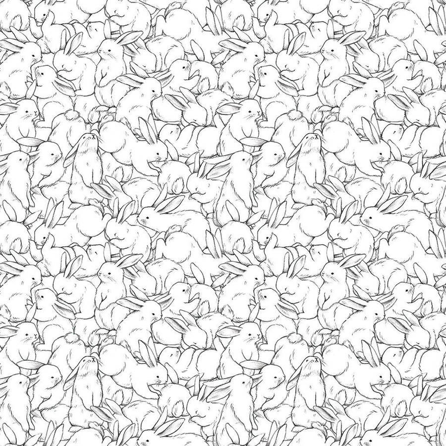 Cute Bunny Line Drawings Wallpaper