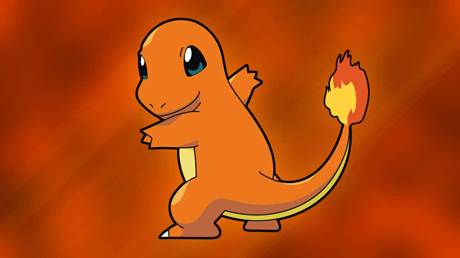 Cute Charmander Admiring His Home Wallpaper