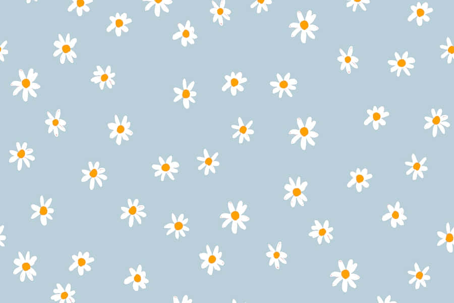 Cute Daisy Flowers Aesthetic Background Pattern Wallpaper
