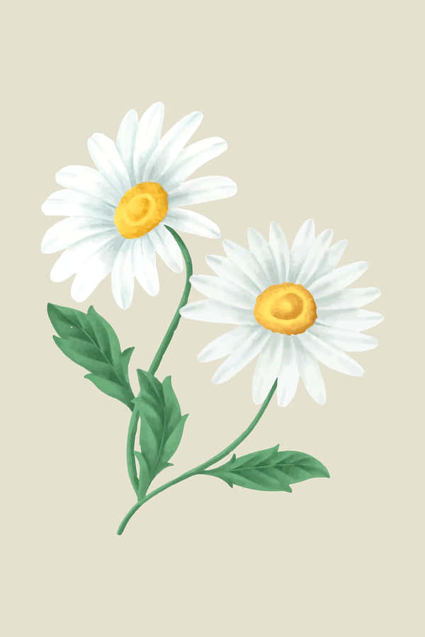 Cute Daisy Vintage Watercolor Art Wallpaper