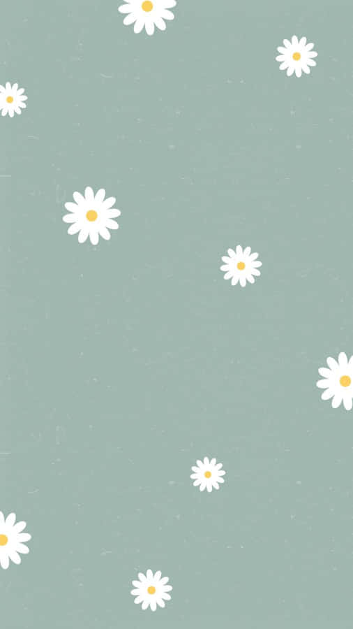 Cute Daisy White Flowers Pattern Wallpaper