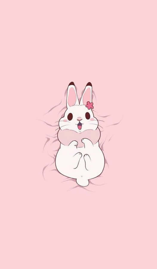 Cute Fluffy Bunny Pink Background Wallpaper