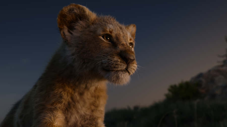 Cute Lion King 2019 Simba Cub Wallpaper