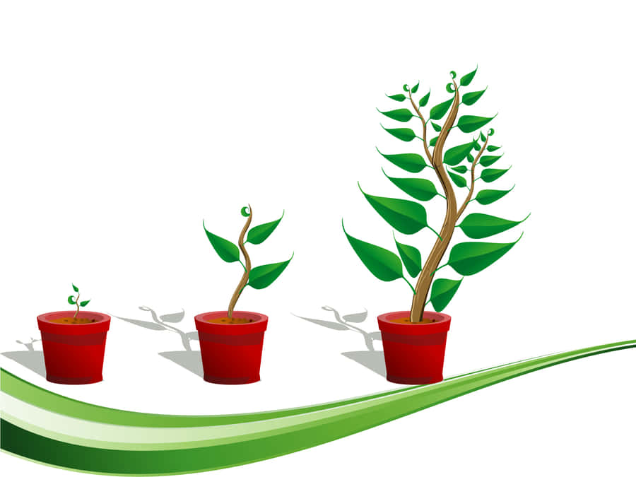 Cute Plant Growing Illustration Wallpaper
