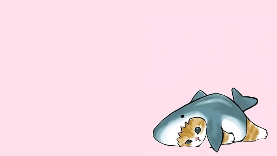 Cute Shark And Cat Wallpaper