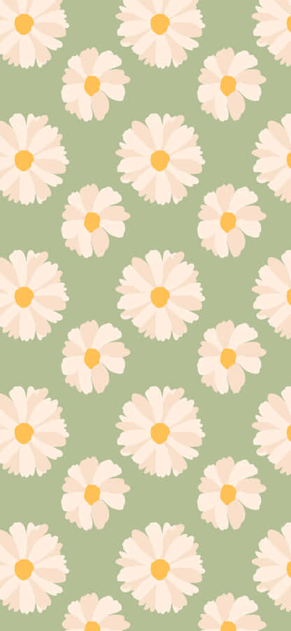 Cute Spring Daisies Iphone Wallpaper