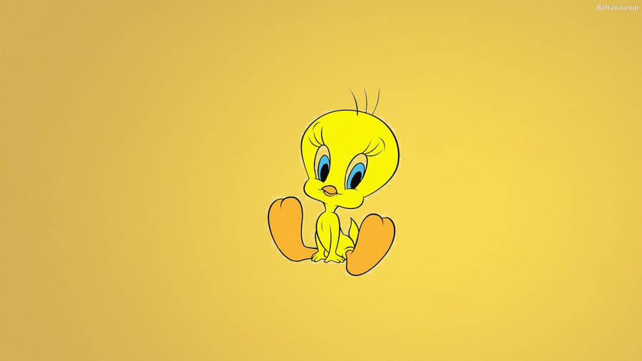 Cute Tweety Bird Sitting Wallpaper