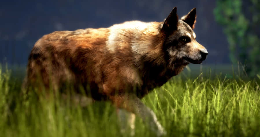 Dangerous Wolf Attack In The Wild Wallpaper