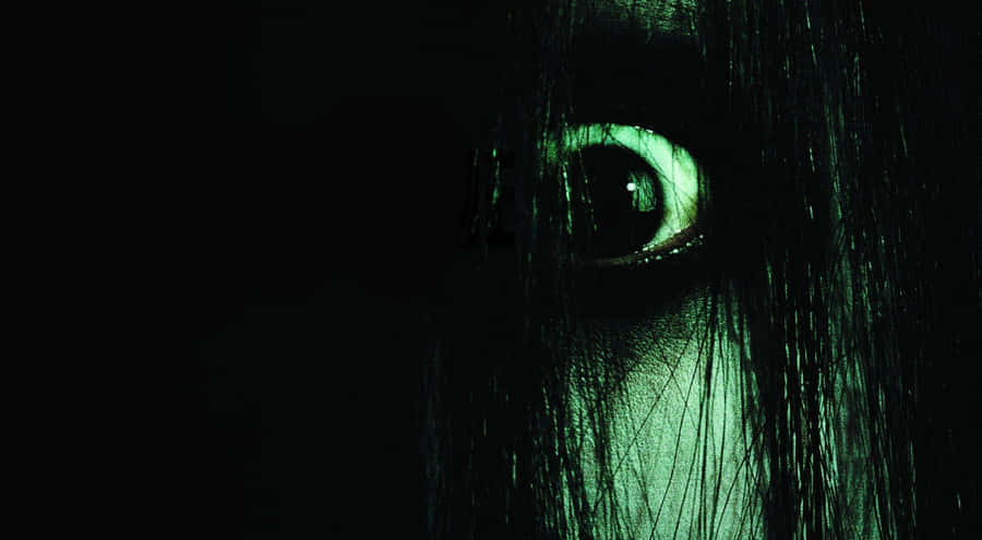 Dark And Eerie Forest Enveloped In Mist Wallpaper