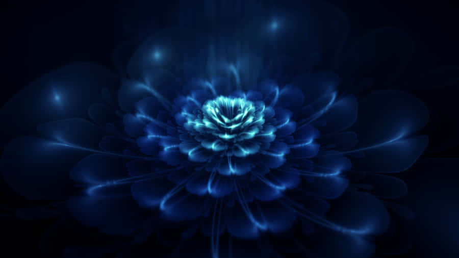 Dark Blue Rose Abstract 1920 X 1080 Wallpaper