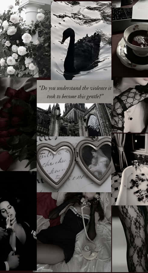 Dark Coquette Elegance Wallpaper