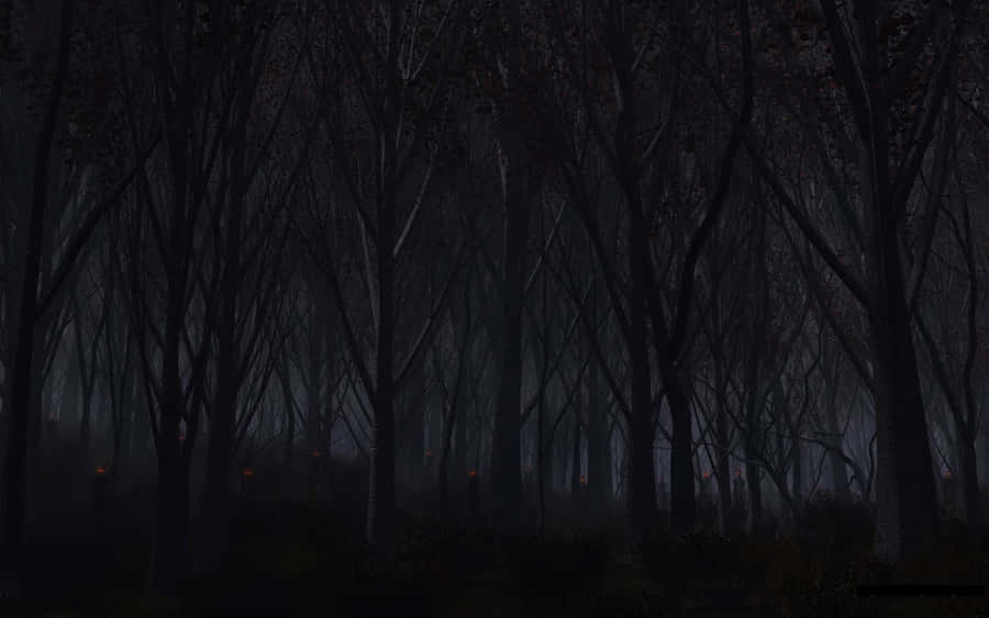 Dark Forest Path In Moonlight Wallpaper