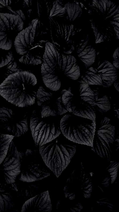 Dark Leafy Texture Background Wallpaper