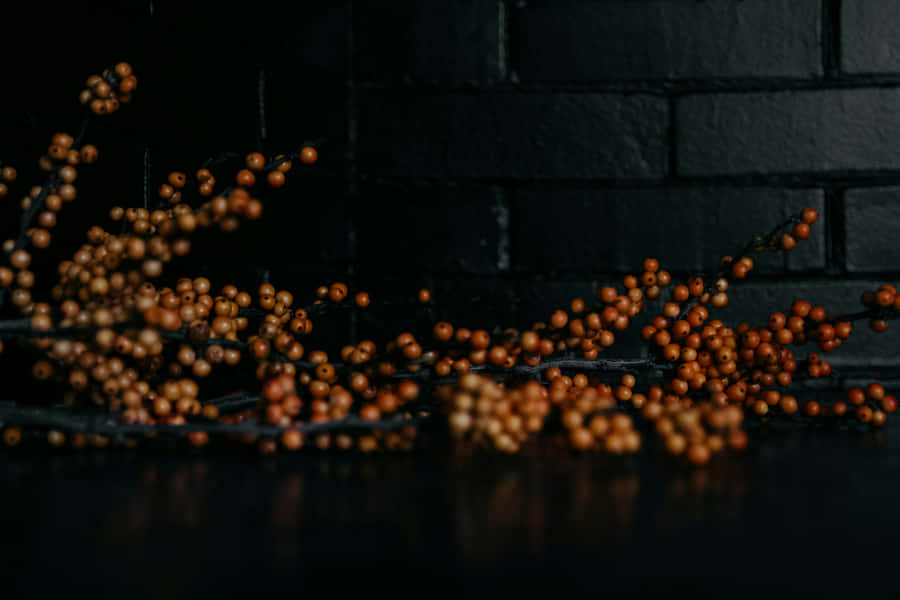 Dark Mustard Seeds Scatteredon Black Surface Wallpaper