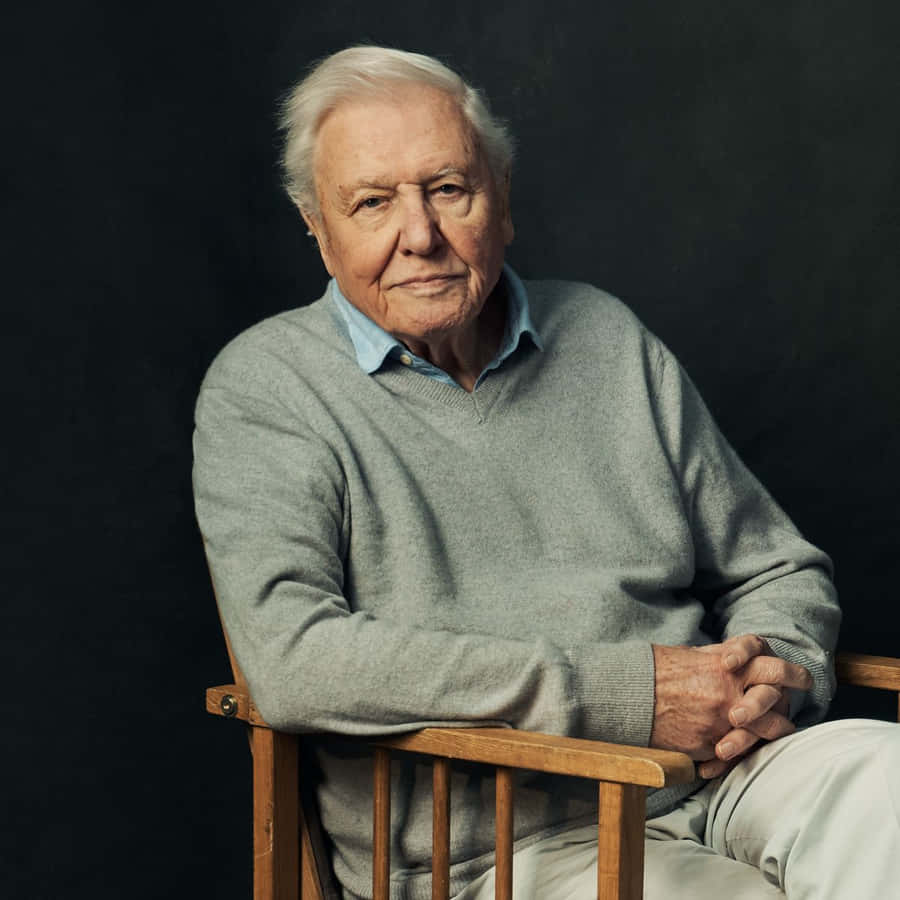 David Attenborough Wallpaper