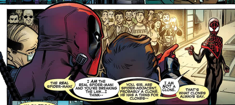 Deadpool And Spiderman Team Up Wallpaper