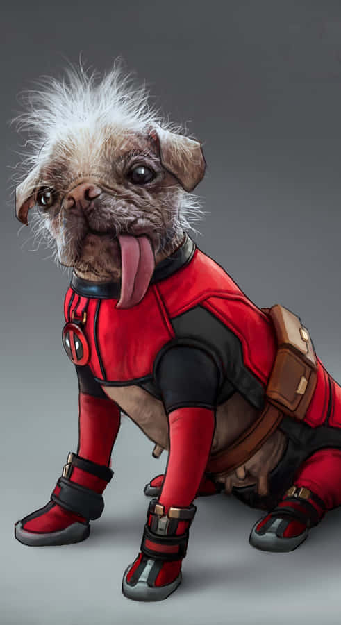 Deadpool Dog Costume Wallpaper