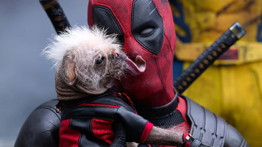 Deadpool Holding Dog Wallpaper