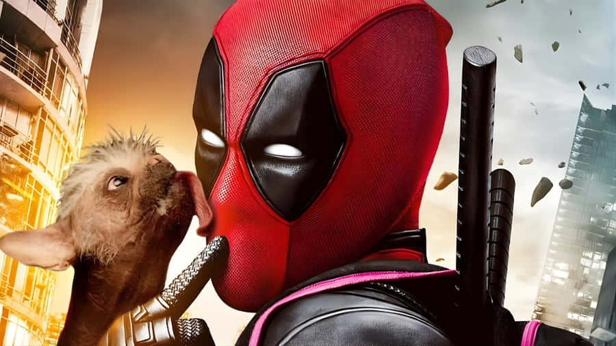 Deadpool With Dog Wallpaper