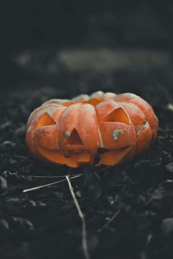 Decaying Halloween Pumpkin Aesthetic.jpg Wallpaper