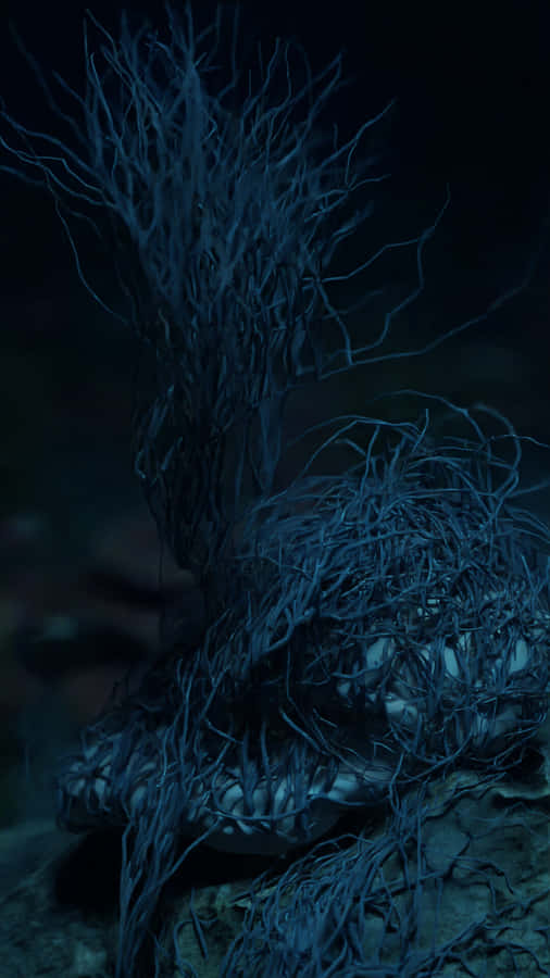 Deep Sea Coral Structure Wallpaper