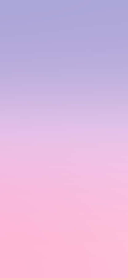 Delicate And Lovely Purple Blush Wallpaper