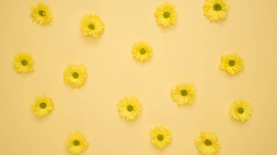 Delicate Neon Yellow Tiny Sunflowers Wallpaper