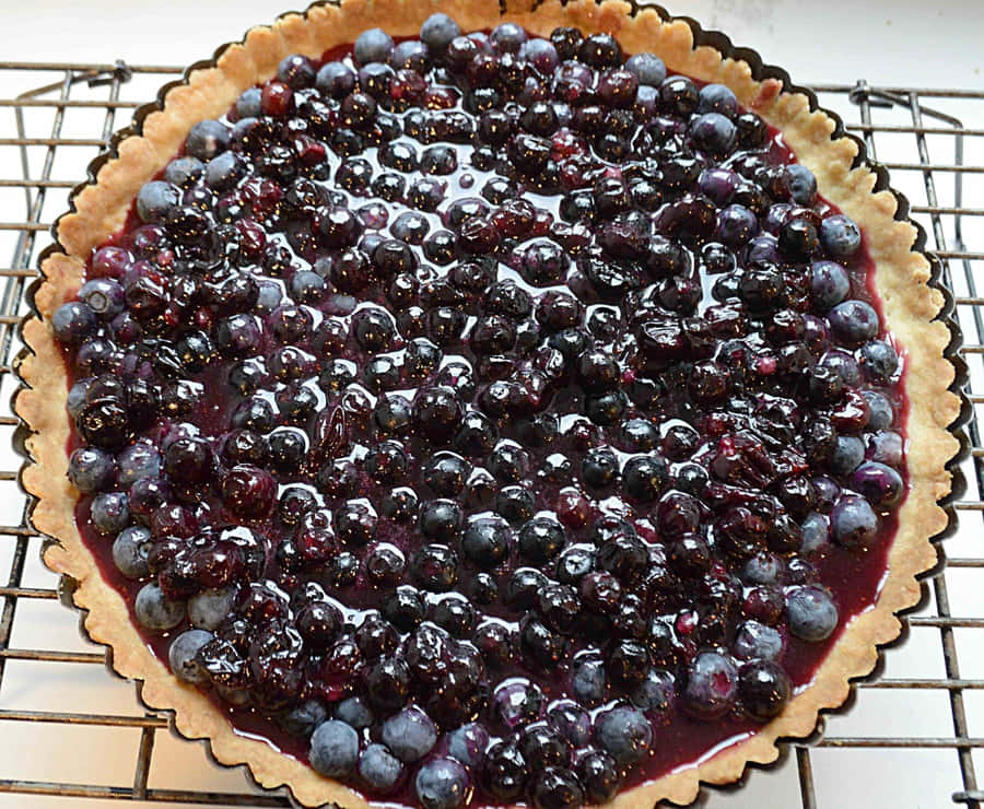 Deliciously Fresh Blueberry Tart Wallpaper