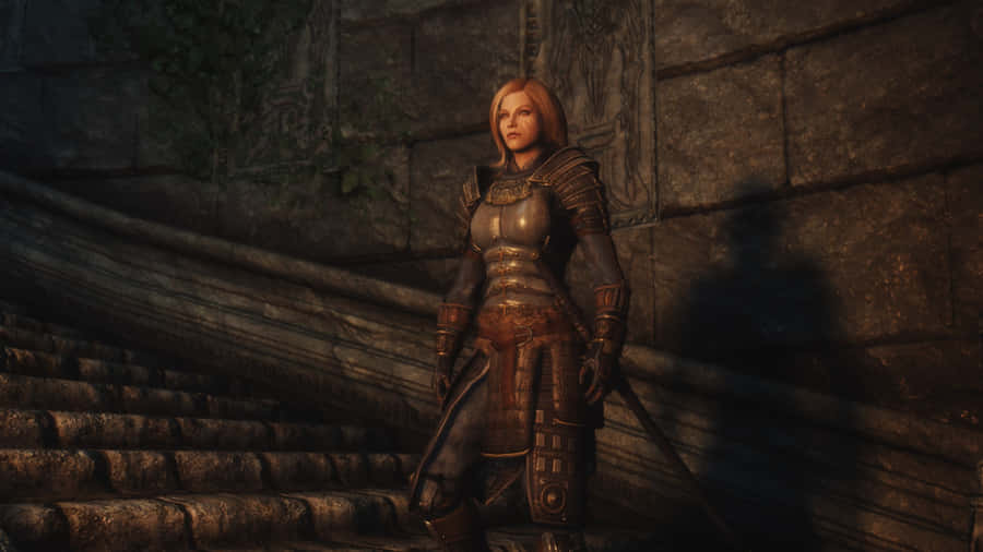 Delphine, The Blade's Spymaster In Action In The Elder Scrolls V: Skyrim Wallpaper
