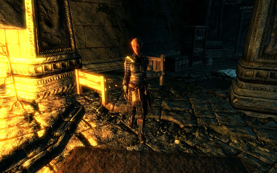 Delphine, The Fierce Blades Member From Skyrim Wallpaper