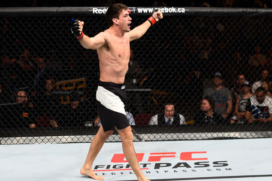 Demian Maia Octagon Fight Night Wallpaper