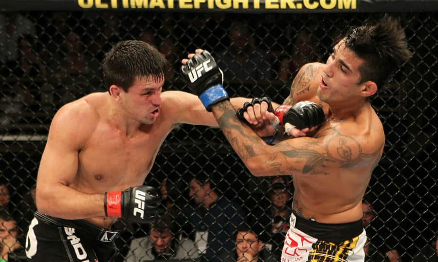 Demian Maia Vs Kendall Grove Wallpaper