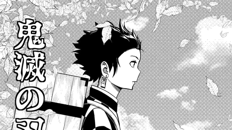 Demon Slayer Manga Panel Tanjirou Profile Wallpaper