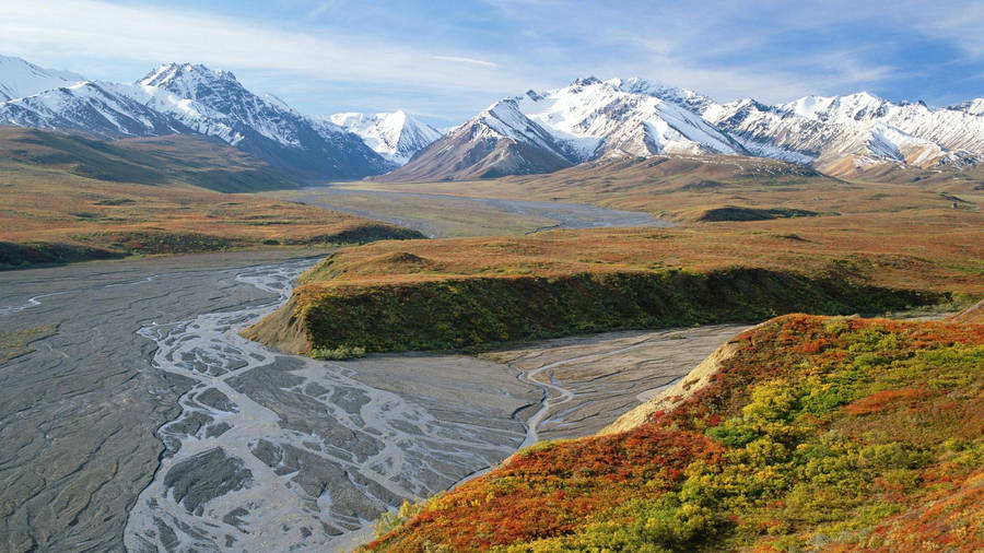 Denali Landscape With Grassy Field Wallpaper