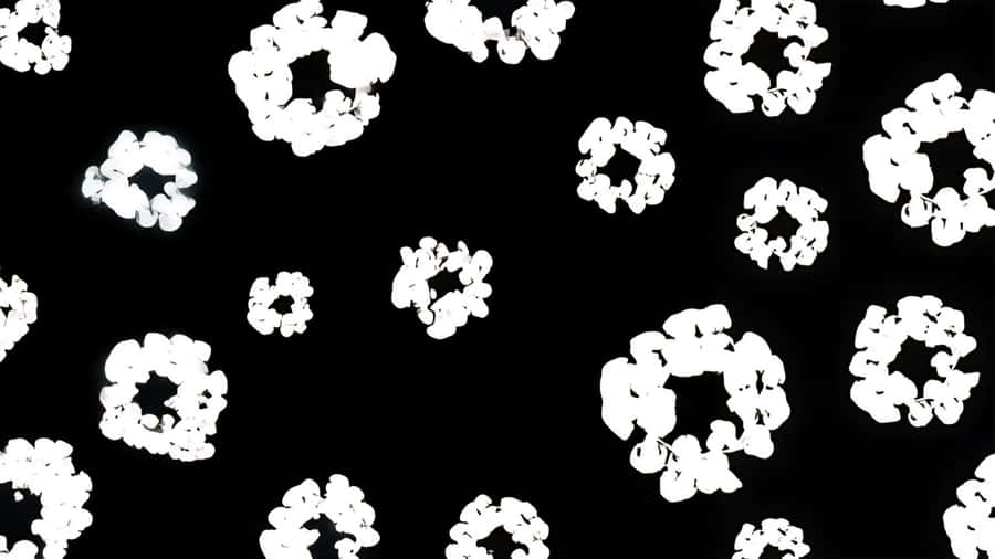 Denim Tears Floral Pattern Wallpaper