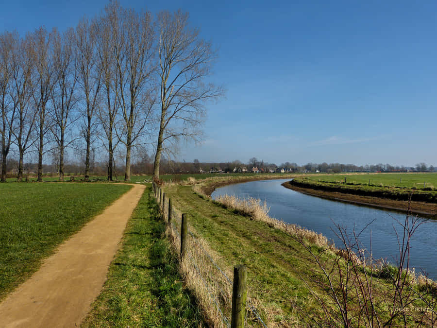Deventer Rural River Path Wallpaper