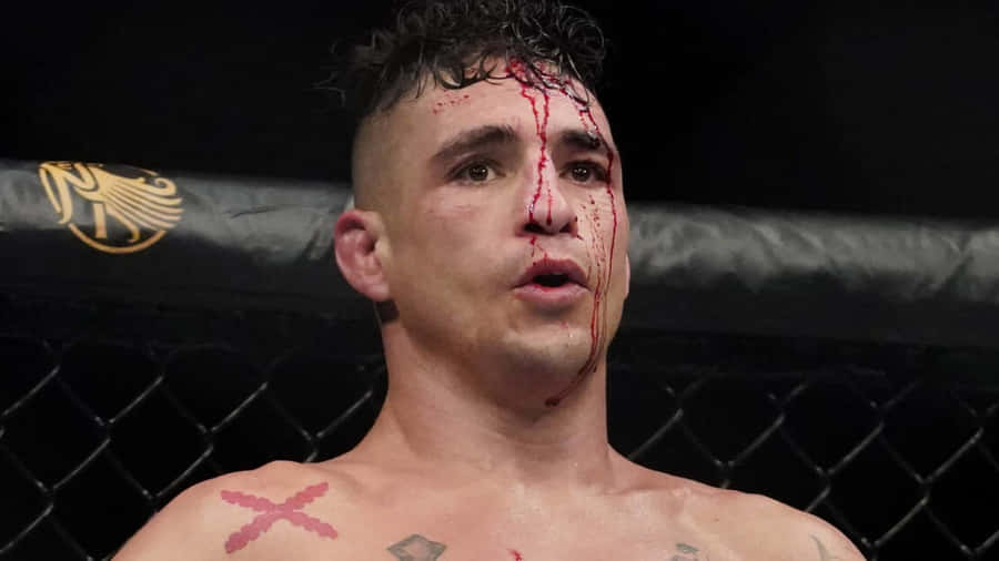 Diego Sanchez Bloody Poster Wallpaper