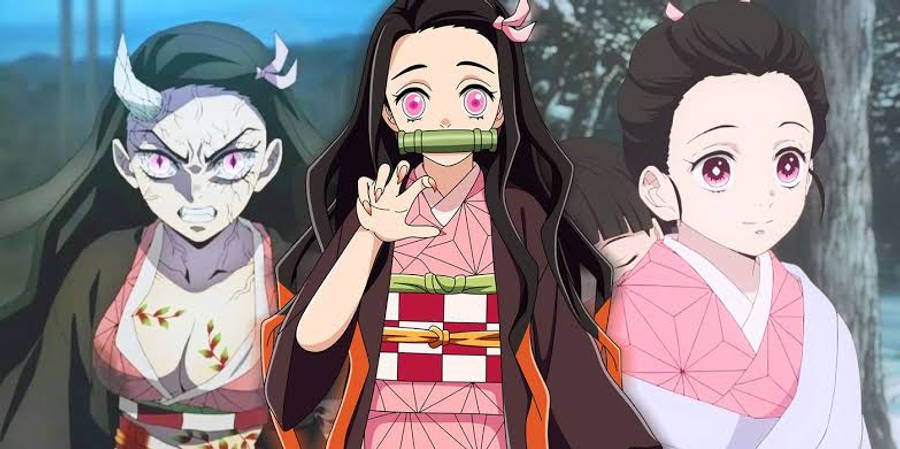 Different Life Phases Of Nezuko From Demon Slayer Wallpaper