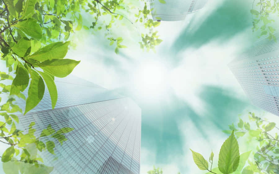 Discover Breathtaking Eco-tourism Destinations Wallpaper