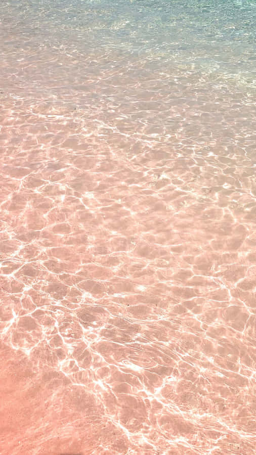 Discover The Magic Of Pink Beach Wallpaper
