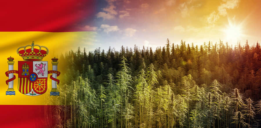 Discover The Rich History And Culture Of Spain Wallpaper