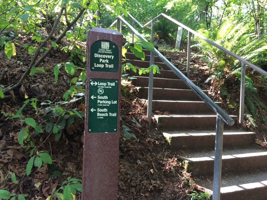 Discovery Park Trail Signand Stairs Wallpaper