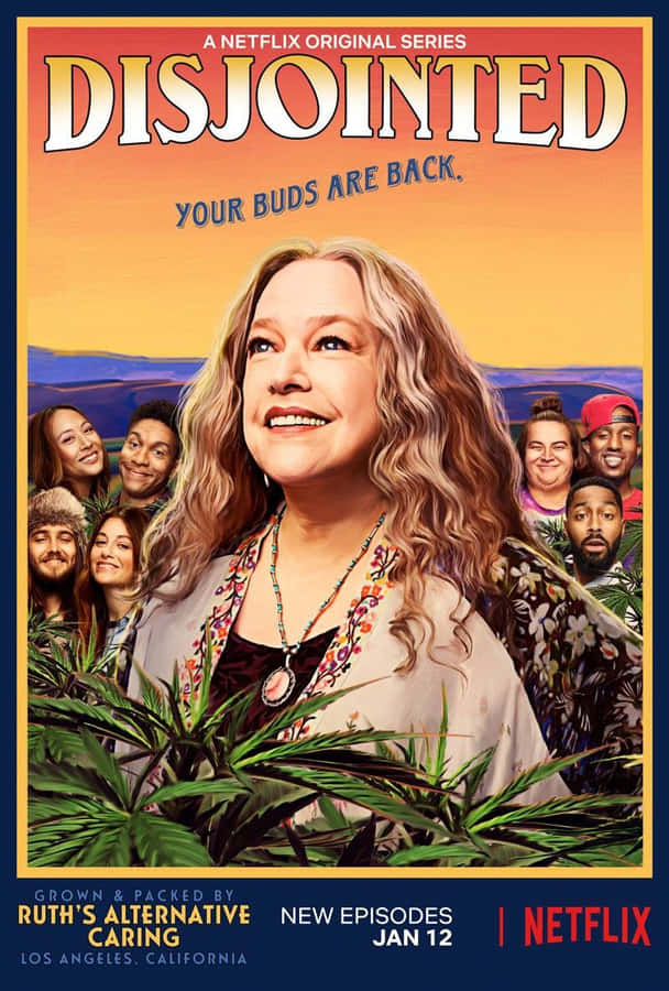 Disjointed Tv Poster Wallpaper