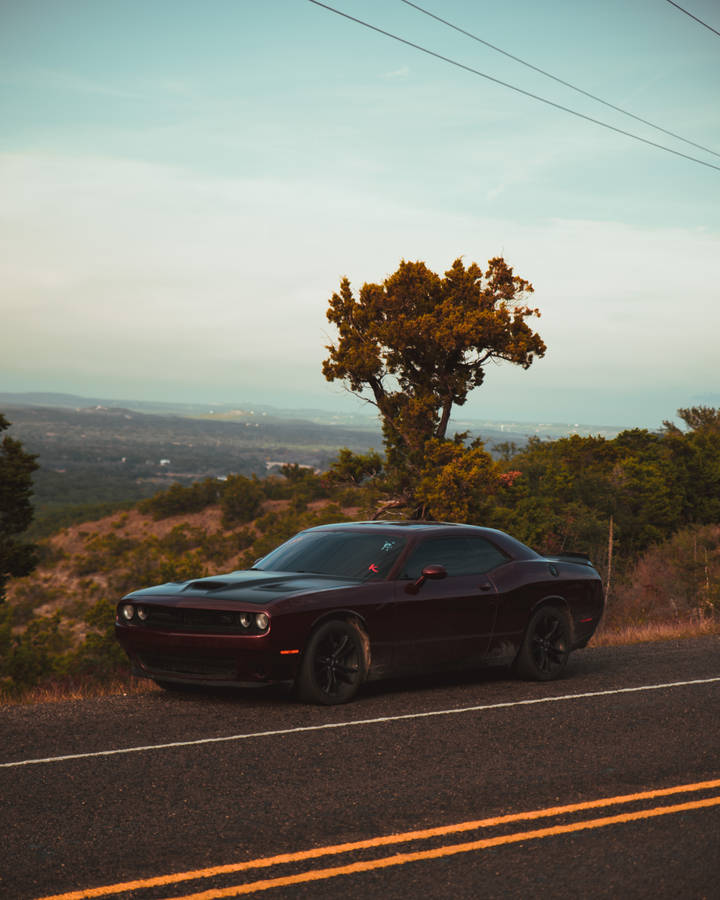Dodge Challenger In Burgundy Color Wallpaper
