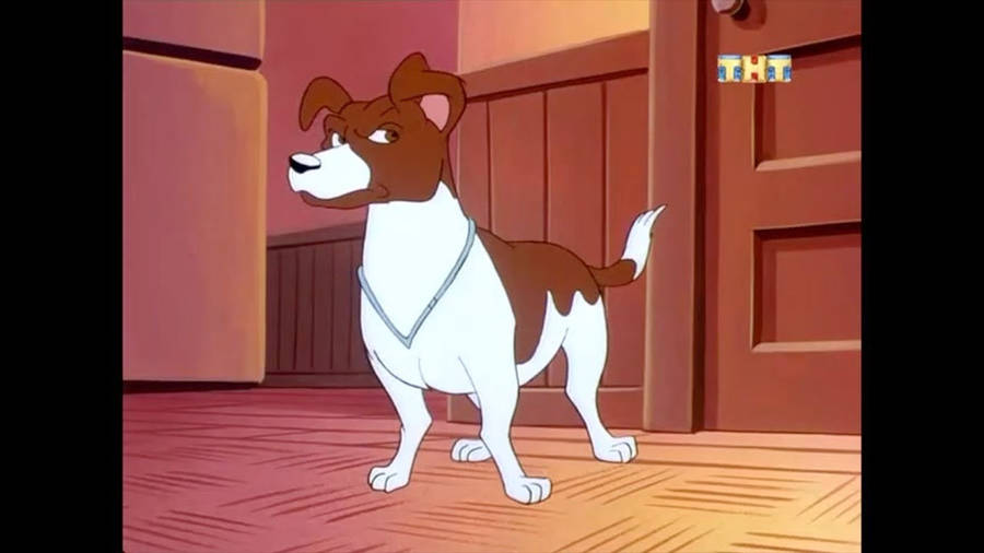 Dog Milo The Mask Wallpaper