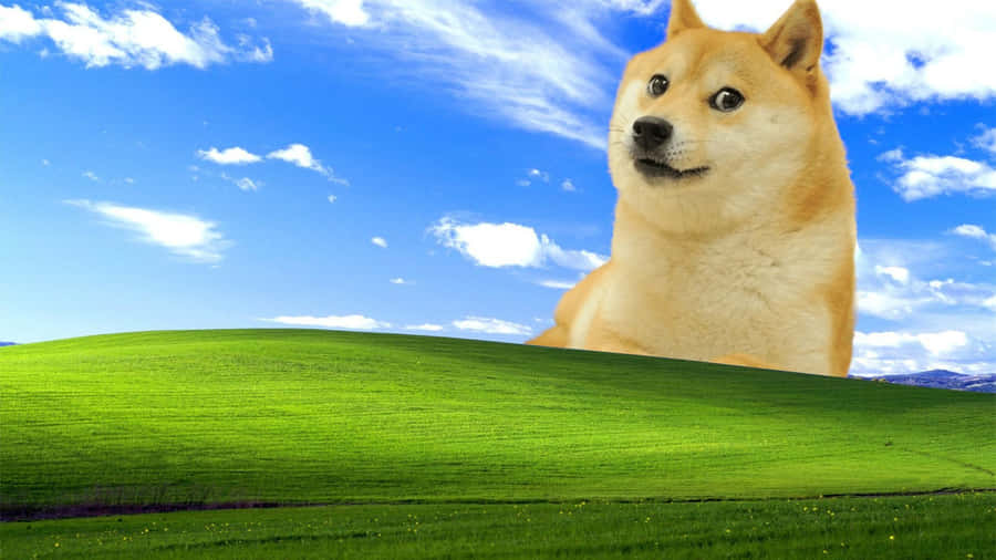Doge Over Bliss Landscape Wallpaper